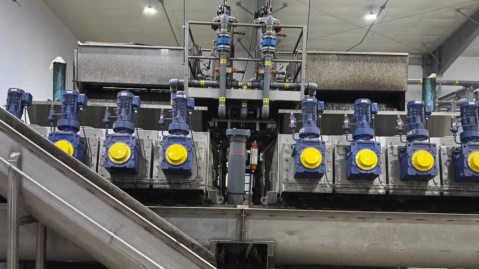 DAF process demo still frame